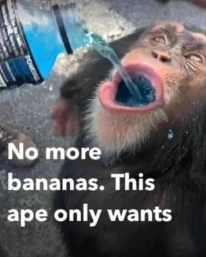 This Ape Only Wants meme template — blank