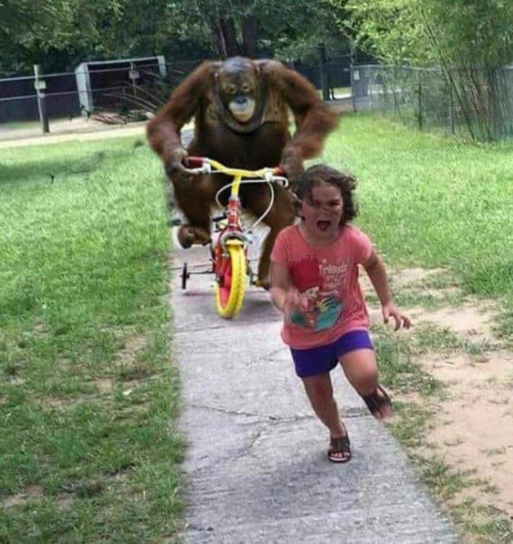 Bike Chase meme template