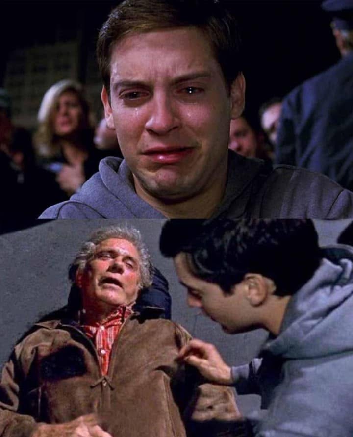 Spider-Man Crying Scene meme template