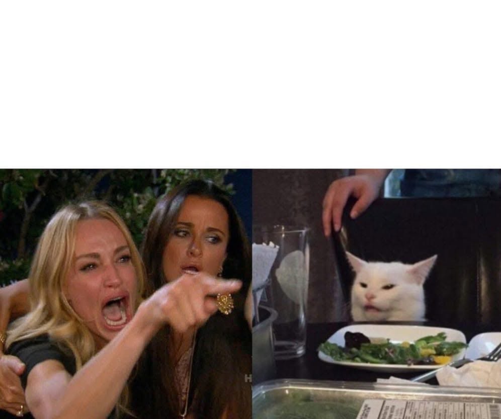 Woman Yelling at Cat meme template — blank